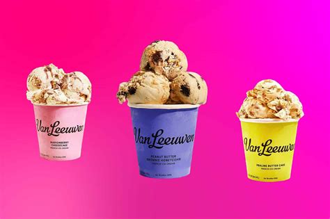 20 Best Van Leeuwen Ice Cream Flavors Ranked