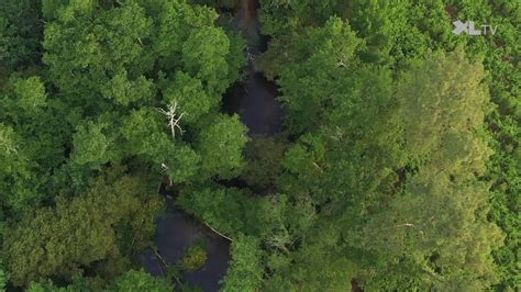 La Palue un trésor caché au cœur des Landes YouTube