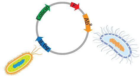 Plasmids 101 Environmental Plasmids
