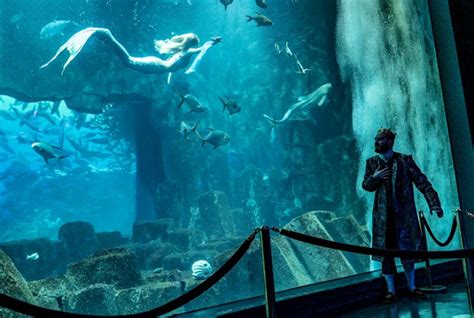 Top Des Aquariums Visiter En Famille En France Citizenkid