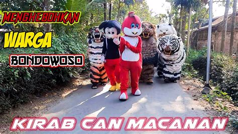 Macan Java Singo Raung Meng Heboh Warga Bondowoso Can Macanan Drumband