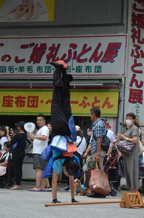 幡多舞人―2024よさこい祭り全チーム紹介 高知新聞