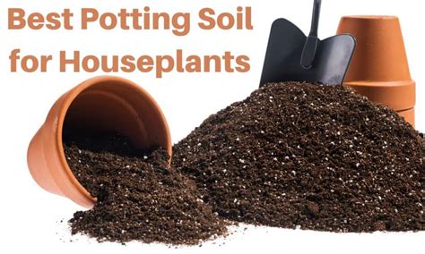 Best Potting Soil For Houseplants Houseplantsinfo