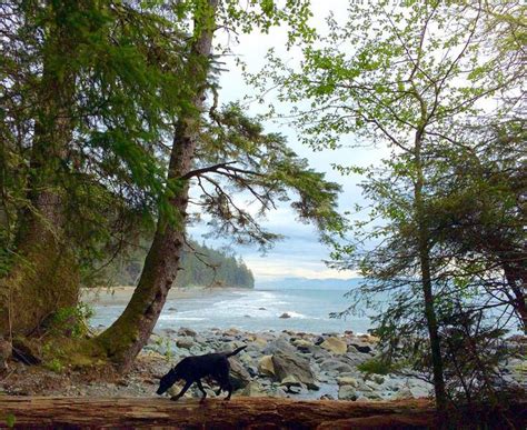 Vancouver Island S Hidden Beaches