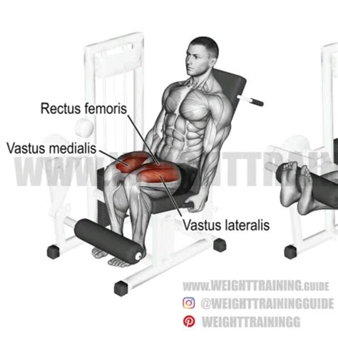 leg extension   p exercise   skimble workout trainer