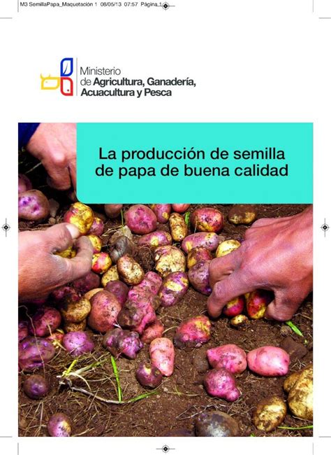 Pdf Manual La Producci N De Semilla De Papa Pdf Dokumen Tips