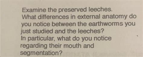 Examine the preserved leeches. What differences in | Chegg.com