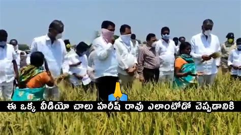 ఈ ఒకక వడయ చల Minister Harish Rao Visits Farms In Medak Dis