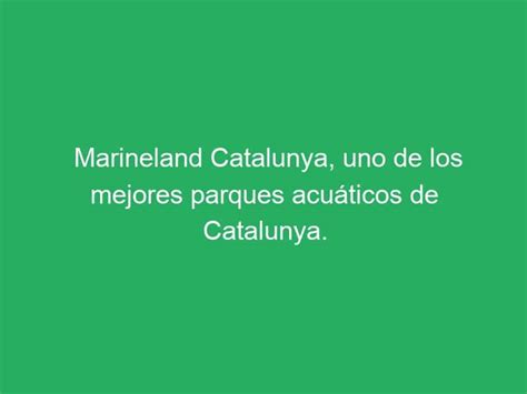 Marineland Catalunya uno de los mejores parques acuáticos de Catalunya