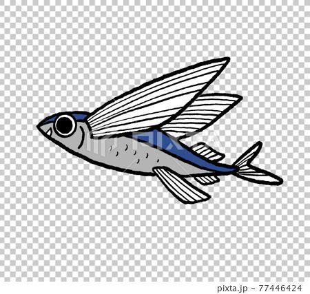 Flying Fish Clipart Flying Fish Stock Illustrations Flying Fish