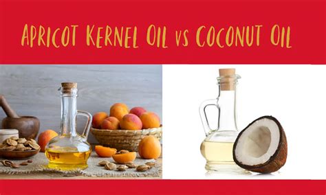 Apricot Kernel Oil Vs Coconut Oil The Ultimate Verdict The Coconut Mama