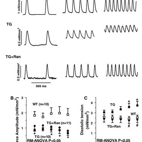 Protein Analysis Of SERCA And NCX A Mean Values Of SERCA Protein