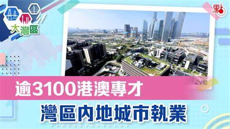 逾3100港澳專才 灣區內地城市執業 大灣區就業 點新聞