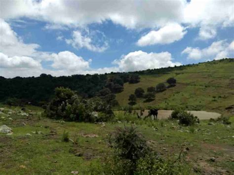 Venta Lote De Terreno En Campestre San Isidro Santiago De Quer Taro