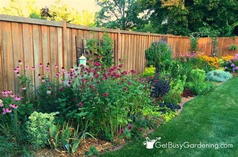 Perennials Made Easy How To Create Amazing Flower Gardens