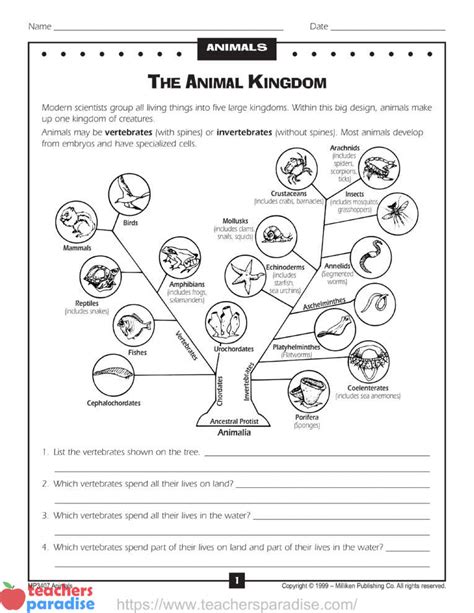 Animal Kingdom Classification Worksheet