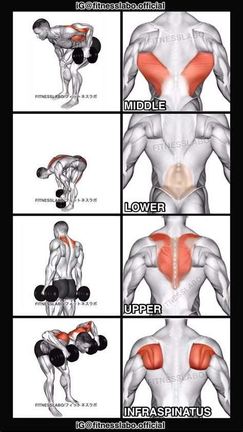 Back Workout using Dumbbells ① One Hand Bent Over Row ② Stiff leg