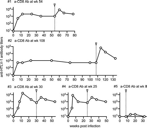 HTLV 1 Proliferation After CD8 Cell Depletion By Monoclonal Anti CD8