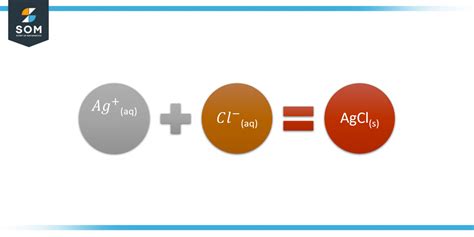 Net Ionic Equation Calculator Online Solver With Free Steps