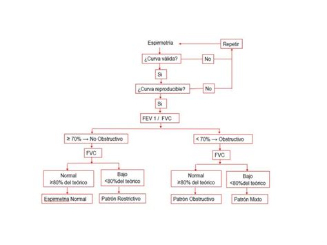 Fisiología respiratoria MEDilove uDocz