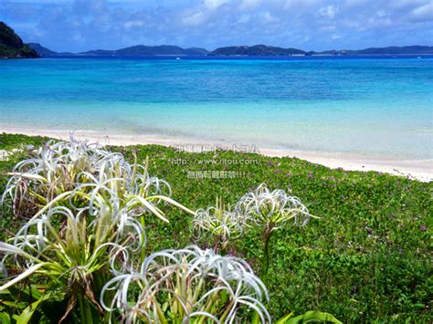 20200913公開の沖縄写真ブログ（渡嘉敷島編）