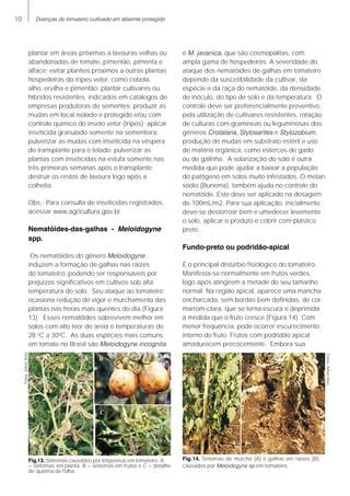 Doen As Do Tomate Em Estufa Pdf