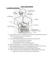 Understanding Human Physiology Digestion Absorption Course Hero