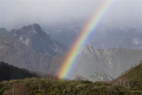 Ser Feliz Es Urgente Las Claves Para Transformar Tu Vida