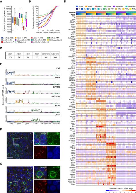 Single Cell Transcriptome Profiling Of Human Pancreatic Islets In