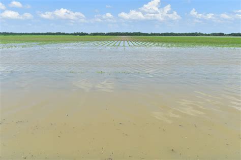 2019 flood worst Mississippi's seen since Great Flood of 1927