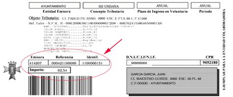 Duplicado De Recibos Del OPAEF