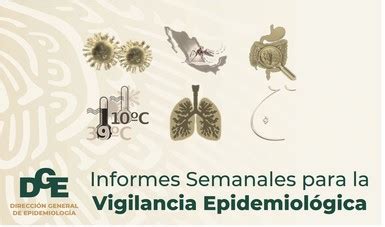 Informes Semanales para la Vigilancia Epidemiológica 2021 Secretaría