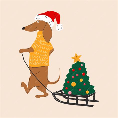 Premium Vector Dachshund Dog Pulls A Christmas Tree On A Sleigh