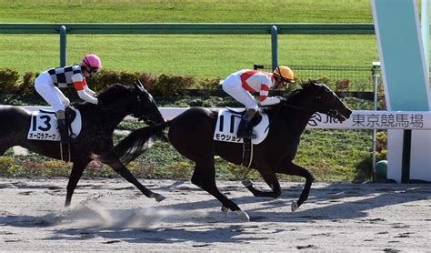 【現場ノート】11・6（土）東京1～6r センスのいい立ち回りでデビュー勝ちのモウショウ 競馬ニュース・特集なら東スポ競馬