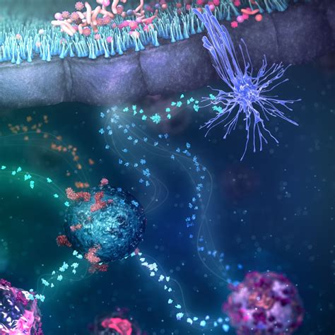 Health experts explain what Astrazeneca Sydney Australia produces 5