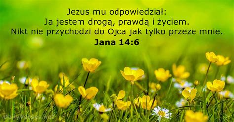 Sierpnia Biblijny Werset Dnia Jana Dailyverses Net