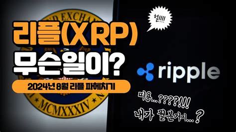 리플 Xrp 긴급속보 리플 Sec와의 법적 최종 판결 및 8월의 리플 영상에서 공개합니다 필수시청 Youtube