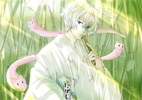 Update more than 74 kakuriyo no yadomeshi anime latest - in.cdgdbentre