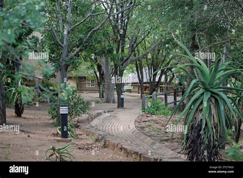 Letaba Rest Camp Kruger National Park South Africa April 14 2012