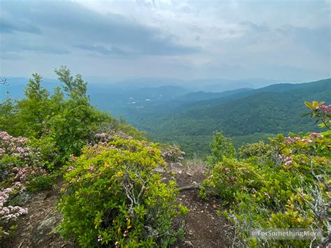 Things To Do In Sylva Nc Stunning Pinnacle Park Sylva