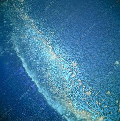 Aerial view of a coral reef in the Bahamas - Stock Image - E690/0025 - Science Photo Library