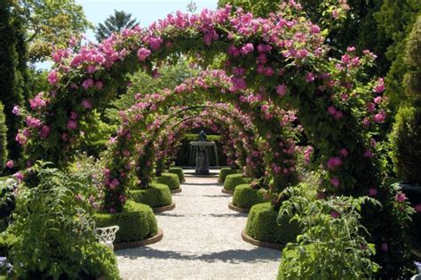 Houston Botanical Gardens Hermann Park - Beautiful Insanity