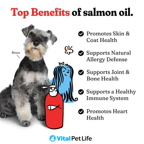 Vital Pet Life Salmon Oil For Dogs And Cats Supports Healthy Skin Coat