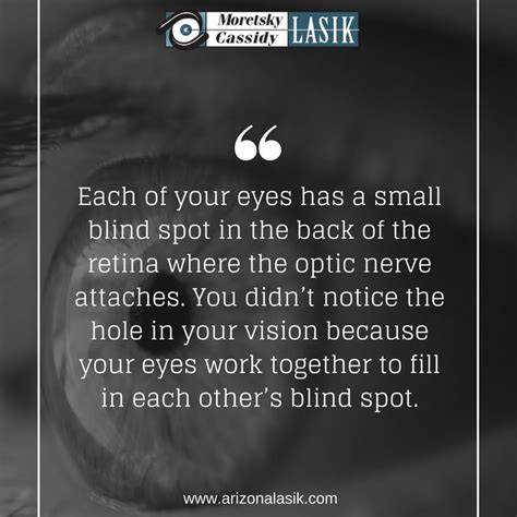 Each Of Your Eyes Has A Small Blind Spot In The Back Of The Retina