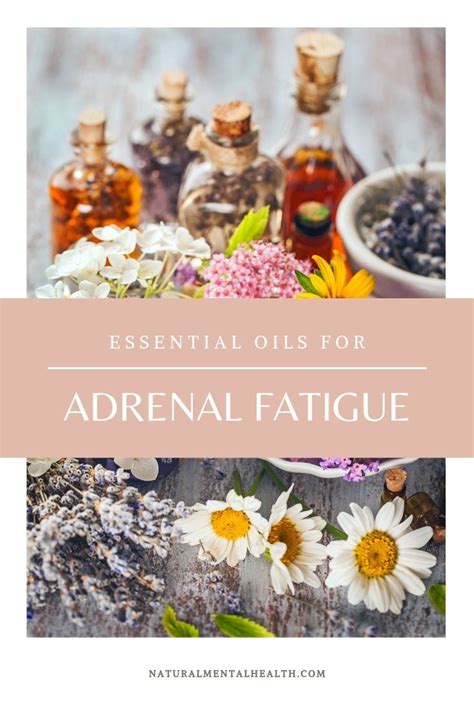 Essential Oils Adrenal Fatigue Artofit