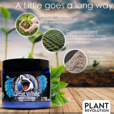 Mua Great White Mycorrhizal Fungi Root Enhancer By Plant Success