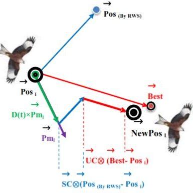 The Movement Of Each Red Kite In Red Kite Optimization Algorithm ROA