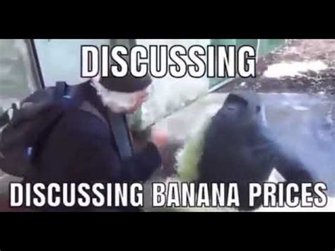 Discussing Banana Prices Youtube