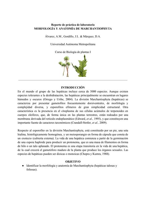 SOLUTION Morfologia Y Anatomia De Marchantiophyta Studypool