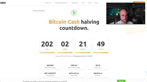 Bitcoin Cash Bch Halving Bull Run Pump Coming Price Prediction And